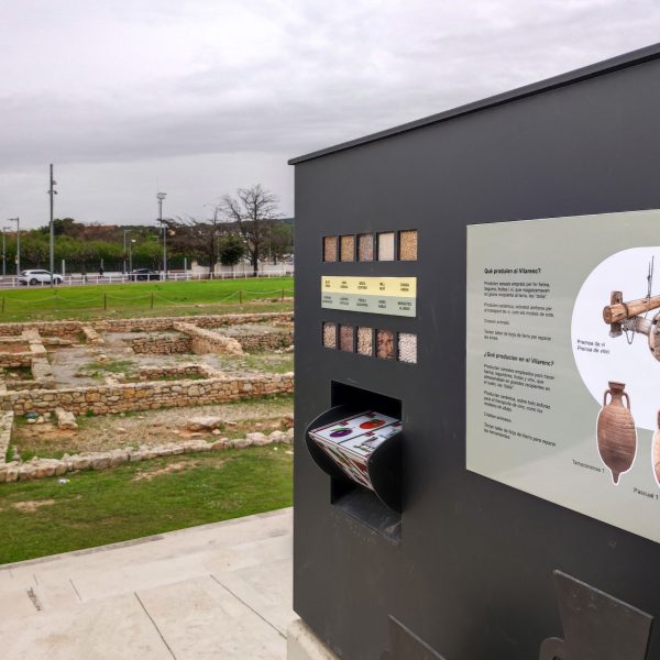 Mostra de cereals a la museïtzació al jaciment romà del Vilarenc