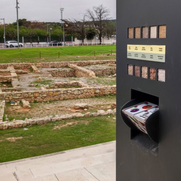 Mostra de diferents cereals al jaciment romà del Vilarenc