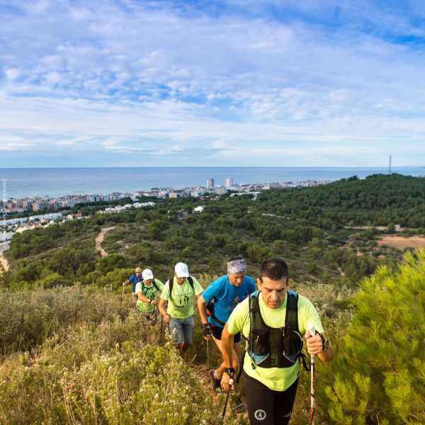 Group of people Nordic walking through the mountains. The sea can be seen in the background