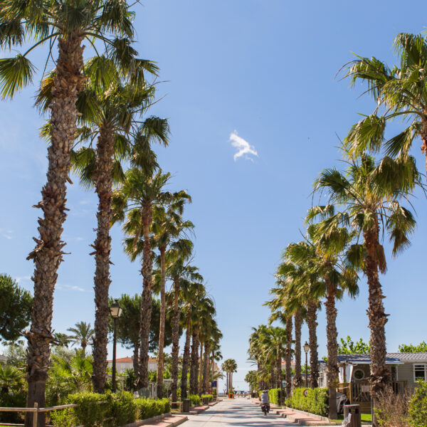 estival-vendrell-platja