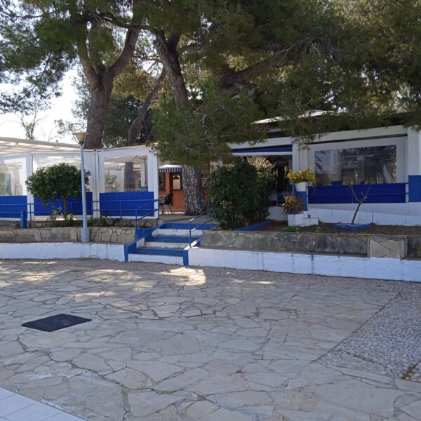 Mescha Sports Club